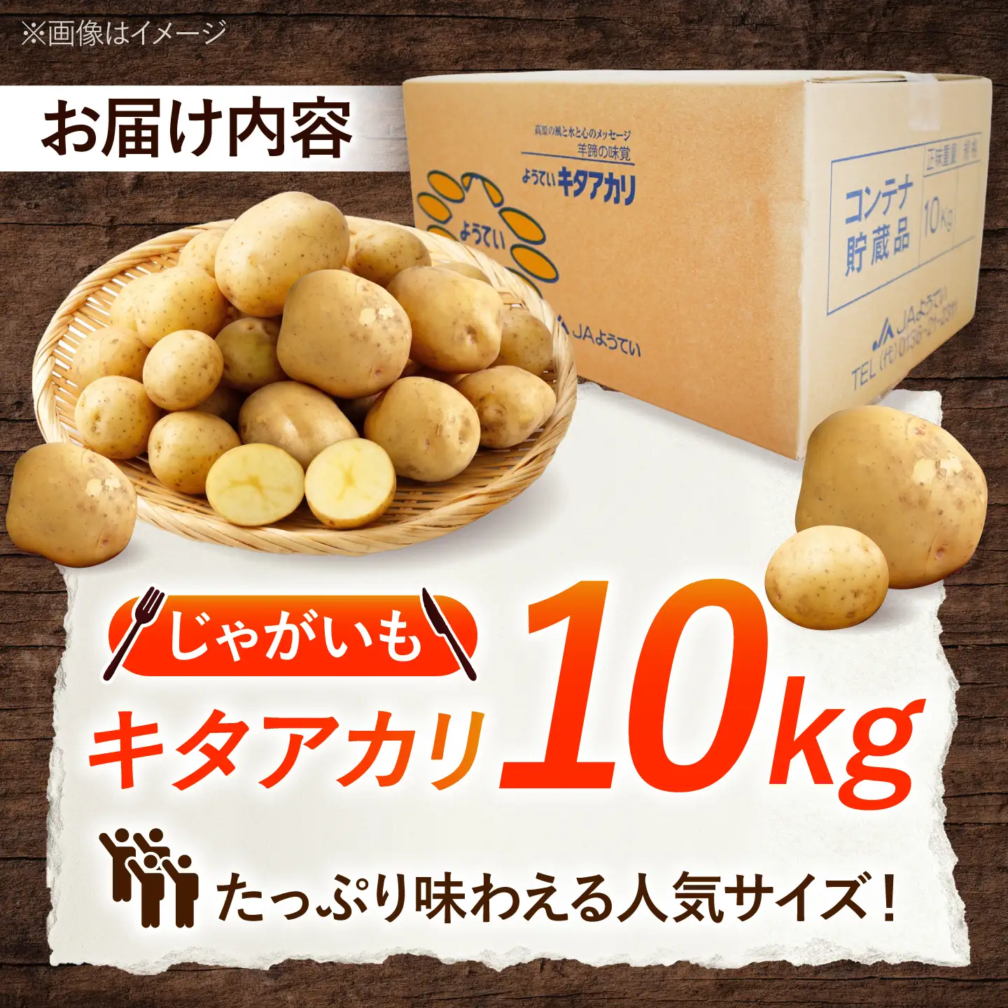 じゃがいも キタアカリ 10kg BPAT005 じゃがいも