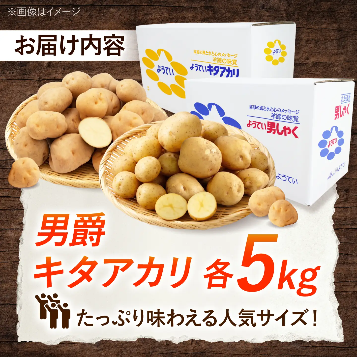 じゃがいも 食べ比べセット（男爵・キタアカリ）計10kg BPAT010 じゃがいも 食べ比べ