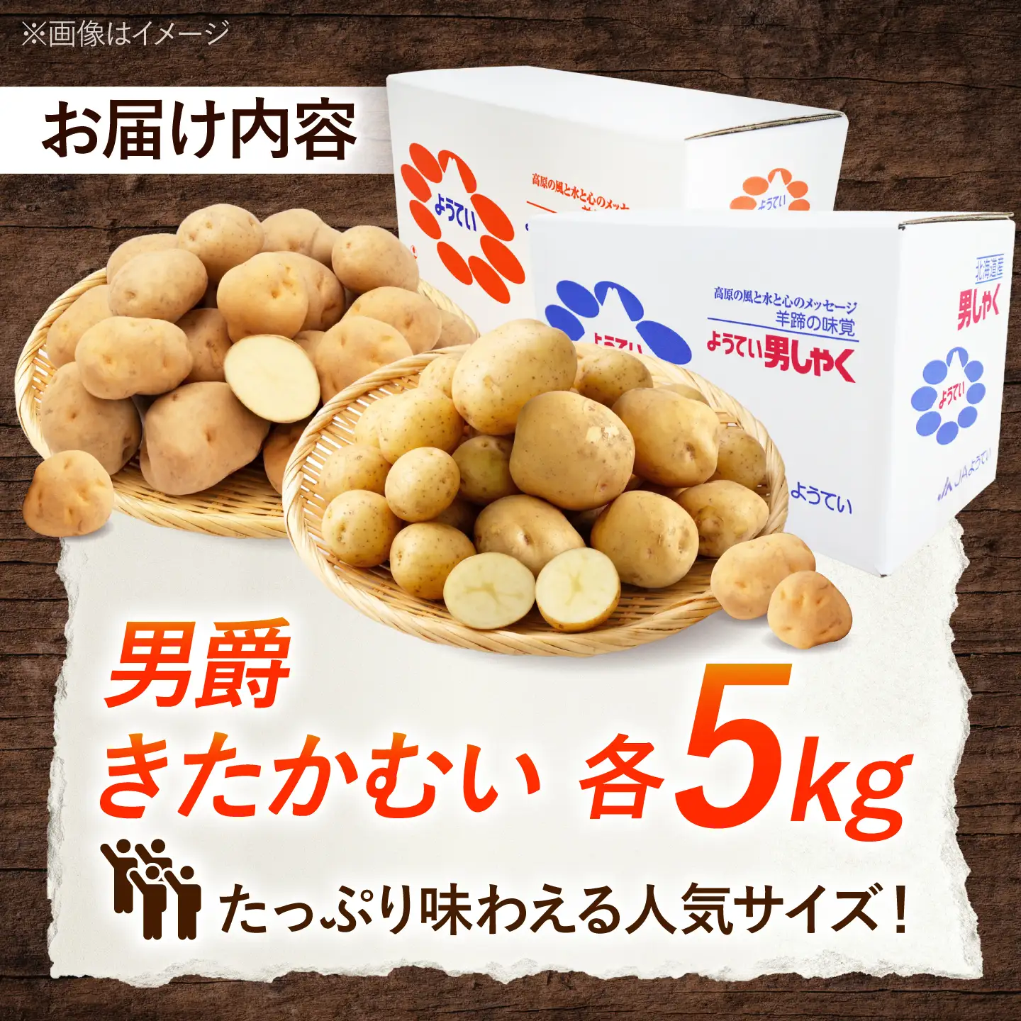【先行予約】 じゃがいも 食べ比べセット（男爵・きたかむい）計10kg BPAT012 じゃがいも 食べ比べ