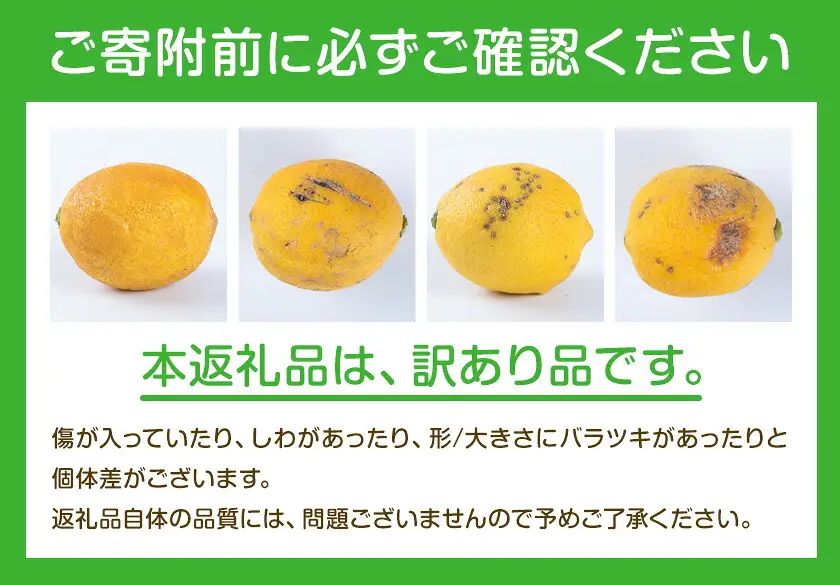 超訳ありレモン 約5kg レモン
