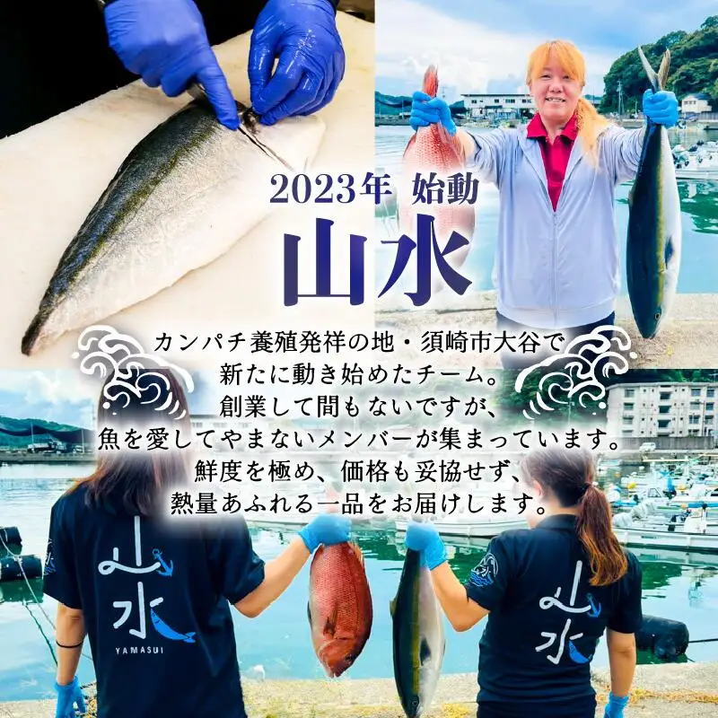 真鯛 炙り 片身 冷蔵