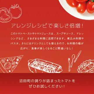 契約農家が露地栽培した完熟トマトケチャップ（320g瓶×2本）保存料 無添加 国産 北海道産 n-0220