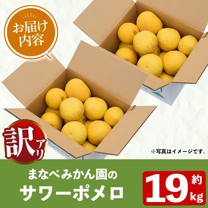 ＜先行予約受付中！2027年2月下旬以降順次発送予定＞訳あり！まなべみかん園のサワーポメロ(約19kg) 国産 鹿児島県産 阿久根市産 柑橘類 果物 フルーツ 数量限定 デザート 訳アリ 【有限会社まなべみかん園】akn034-23