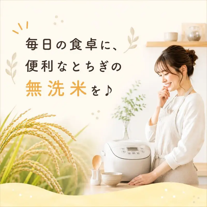 【2026年産】栃木県産コシヒカリ 無洗米 30kg 【栃木県共通返礼品 栃木県産】
