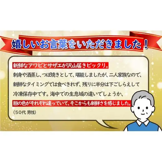 九十九島産 あわび さざえ セット 1.5kg ( 鮑700g 栄螺 800g ) 産地直送 新鮮 鮑 アワビ 魚貝 魚介 貝 海鮮 長崎県 佐世保市