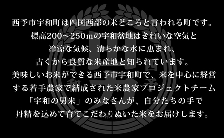 新米＜令和6年産 田力米 5kg ミルキースター＞お米 こめ コメ 白米 精米 ご飯 ごはん 特産品 産地直送 田力本願 愛媛県 西予市【常温】『1か月以内に順次出荷予定』UTH0003