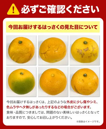 はっさく 9kg 訳あり 八朔