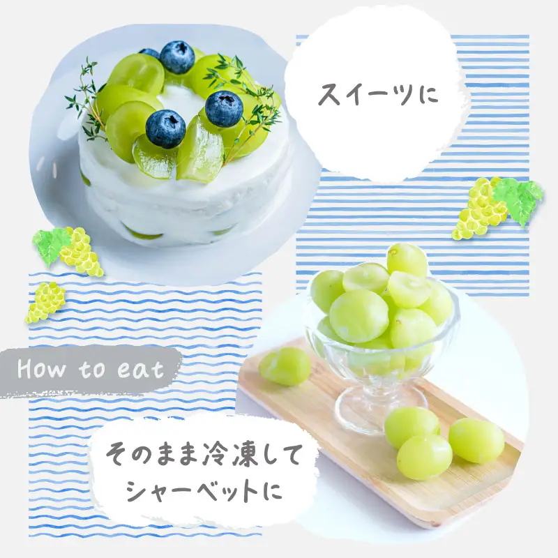 【2026年オンタイム】シャインマスカット 約2.0kg （粒）