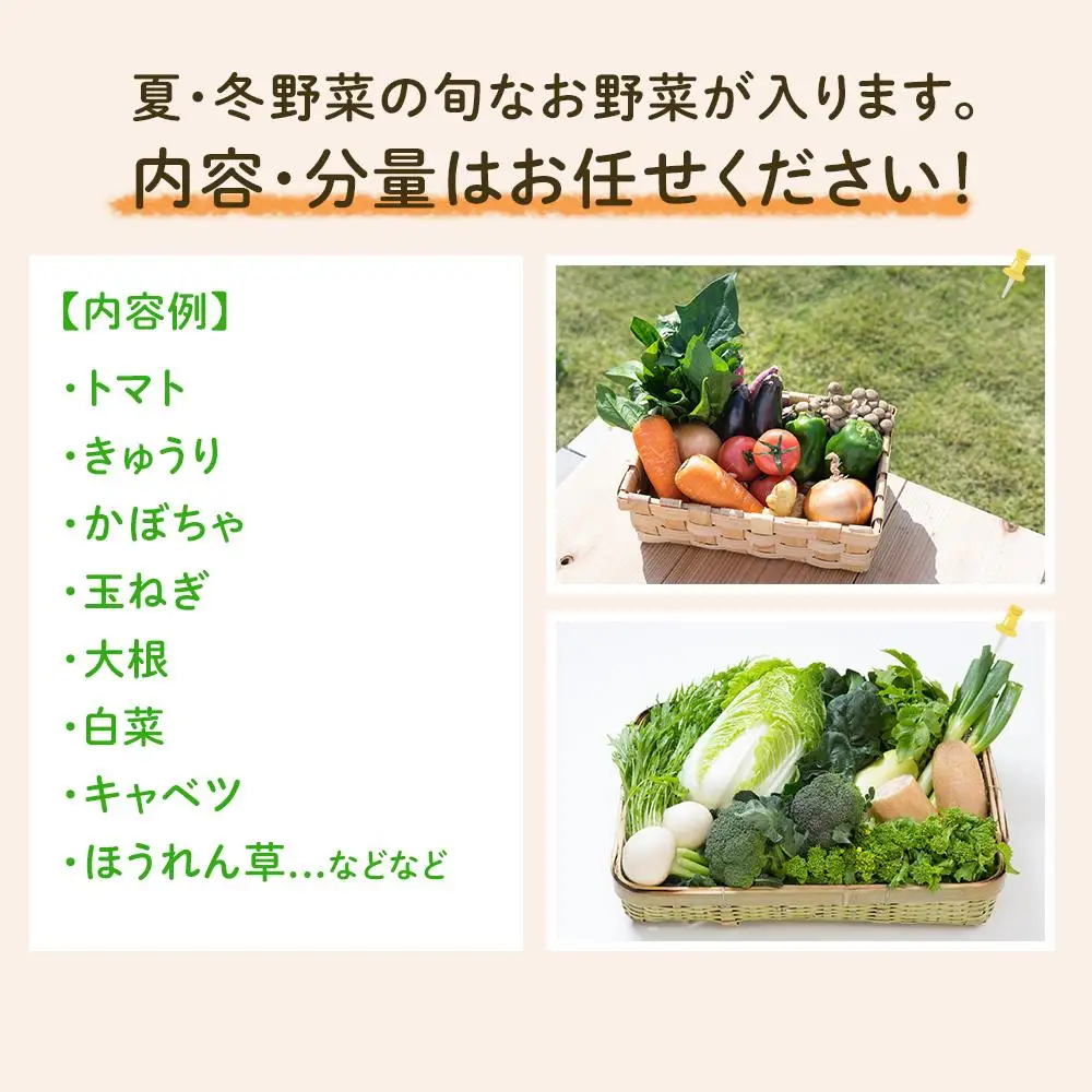 「ベジーズ館」の夏・冬野菜　年２回コース （7月と12月発送）｜【野菜定期便・野菜・定期便・冬野菜・夏野菜・野菜セット・旬の野菜・兵庫野菜・相生野菜・国産野菜・野菜詰め合わせ・冬野菜詰め合わせ・夏野菜詰め合わせ】