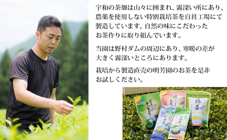 ＜お茶の詰め合わせセット＞ 茶葉 リーフ 日本茶 お茶っぱ 緑茶 抹茶入り 玄米茶 ほうじ茶 特上 煎茶 水出し ティーパック ティーバック お茶の葉 飲み比べ 飲料 国産 バラエティー 特産品 明芳園 愛媛県 西予市 【常温】『1か月以内に順次出荷予定』UME0001