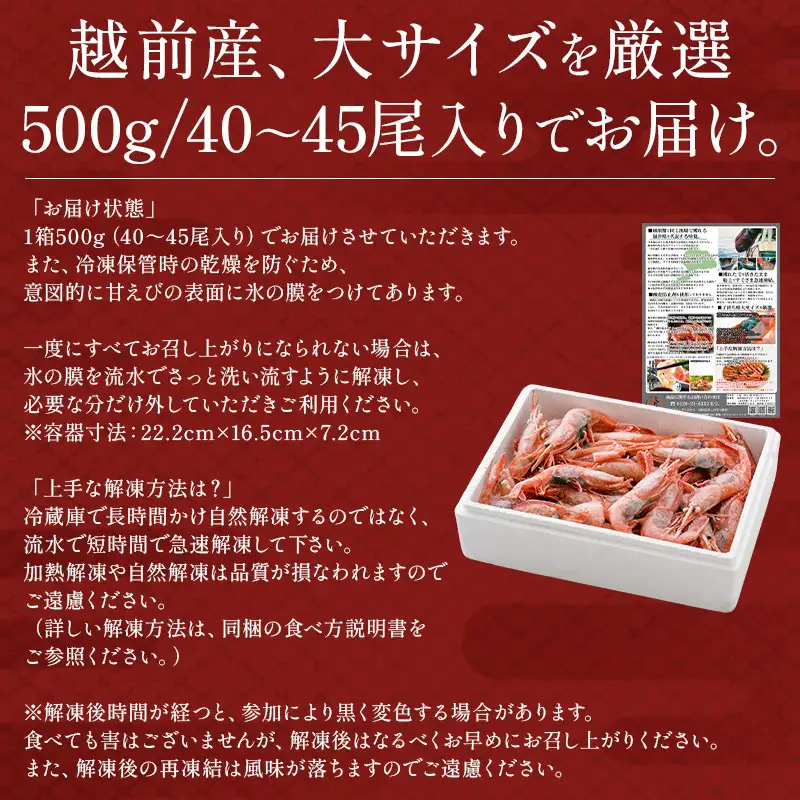 福井県敦賀産 甘えび・子持ち 大サイズ 約500g（約40～45尾）[053-a043(20)]