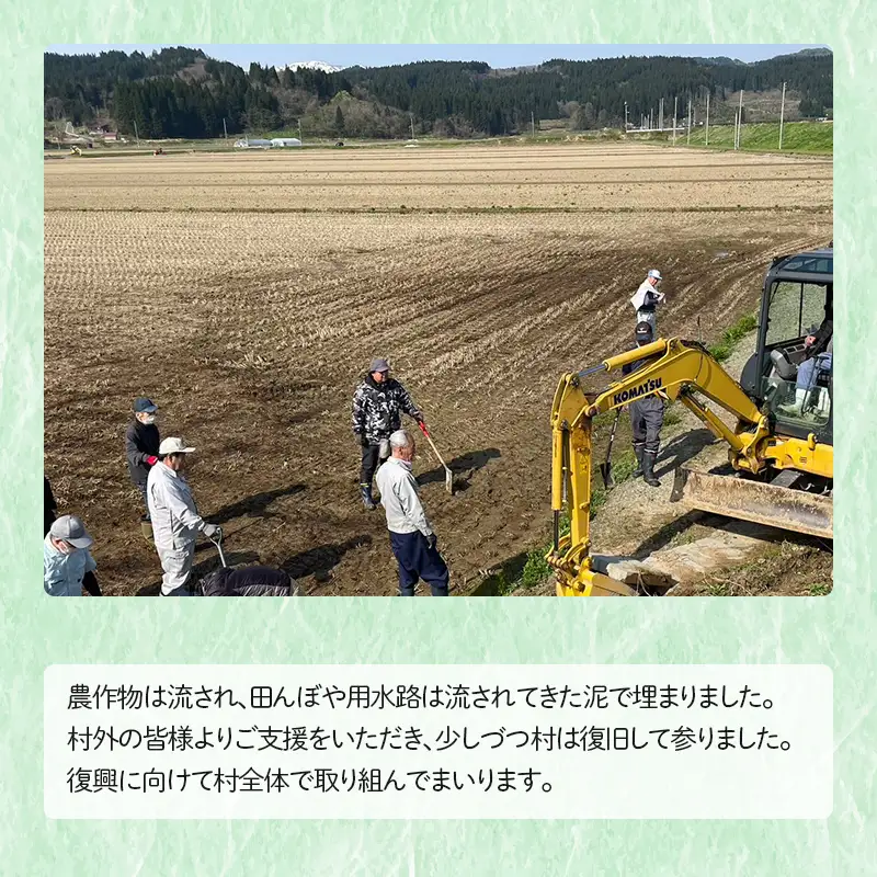 ≪新米先行予約≫ 復興応援米 令和8年度 山形県戸沢村産 銘柄米2種セット4kg(雪若丸2kg・つや姫2kg) 精米 白米 お米 米 ご飯 ごはん ブランド米 家庭用 自宅用 贈答用 お取り寄せ 食品 山形県 戸沢村 F7W-0511