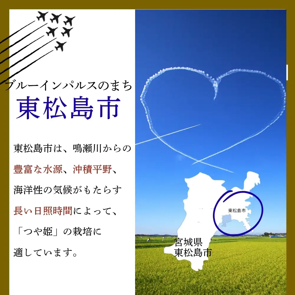 【先行予約】【新米】【令和8年10月中旬～下旬順次発送】 つや姫 精米 10kg 令和8年  宮城県産  H つや姫