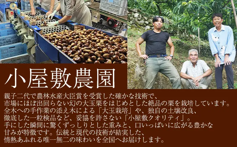 ＜大粒むき栗 約280g×2袋＞『9月中旬から順次出荷予定』 和栗 皮なし くり おおつぶ 大きい 幻の栗 甘い 新鮮 栗ごはん 栗きんとん 剥き栗 甘露煮 旬 国産栗 お取り寄せ 旬 特産品 国産 秋の味覚 真空パック 長期保存 皮むき不要 おせち 小屋敷農園【冷凍】SKN0003