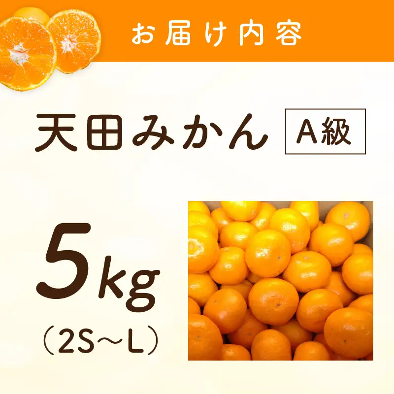 天田みかん（紀州和歌山） A級5kg【1272】