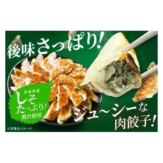レンコンまん 肉餃子 俺たちのれんこんまん 4個×1袋 しそたっぷり肉餃子 30個×1袋 ローズポーク ブランド豚 肉まん 餃子  中華 そうざい 蓮根 シソ 惣菜  レンコン 時短 レンジ調理　簡単調理 冷凍 【茨城県共通返礼品/行方市産】（96-06）