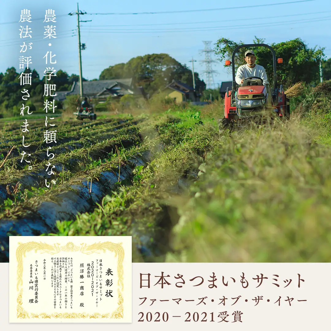 まるでアイスのような まるごと焼き芋 8袋
