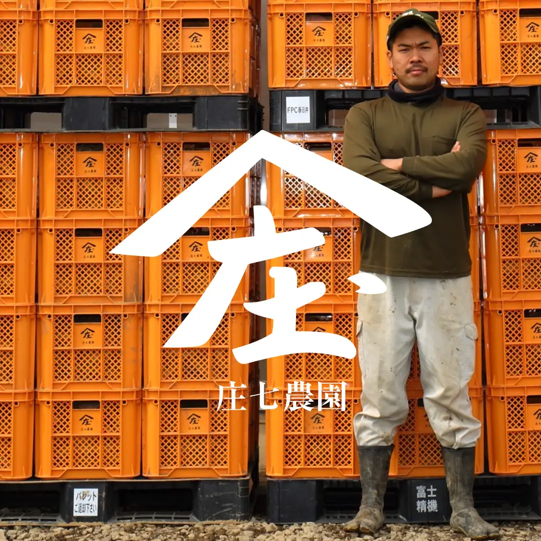 【 お試し・ご自宅用 】 干し芋 食べ比べ セット （平干し 寒干し極 ・丸干し 寒干し煌）