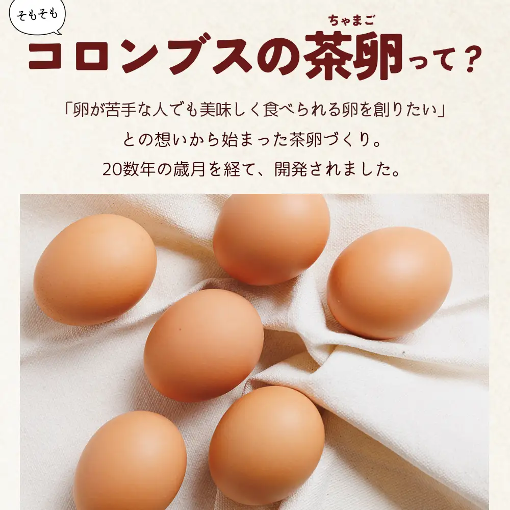 たまご コロンブスの茶卵 10個入×6P 卵が苦手な子どもも食べられた！ kl-0005