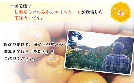 愛媛県明浜産 不知火（3kg） ATI0008