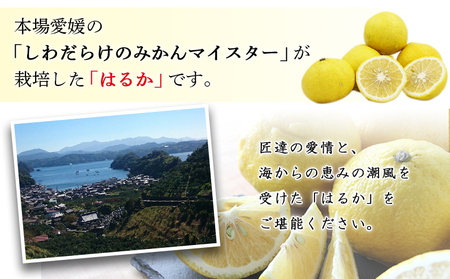 ＜愛媛西予市産 はるか 家庭用 約4kg＞ 柑橘 果物 フルーツ ミカン みかん オレンジ 特産品 渡江から一歩を踏み出す会 食べて応援 特産品 愛媛県 西予市 【常温】『2026年1月下旬～4月上旬迄に順次出荷予定』ATI0012