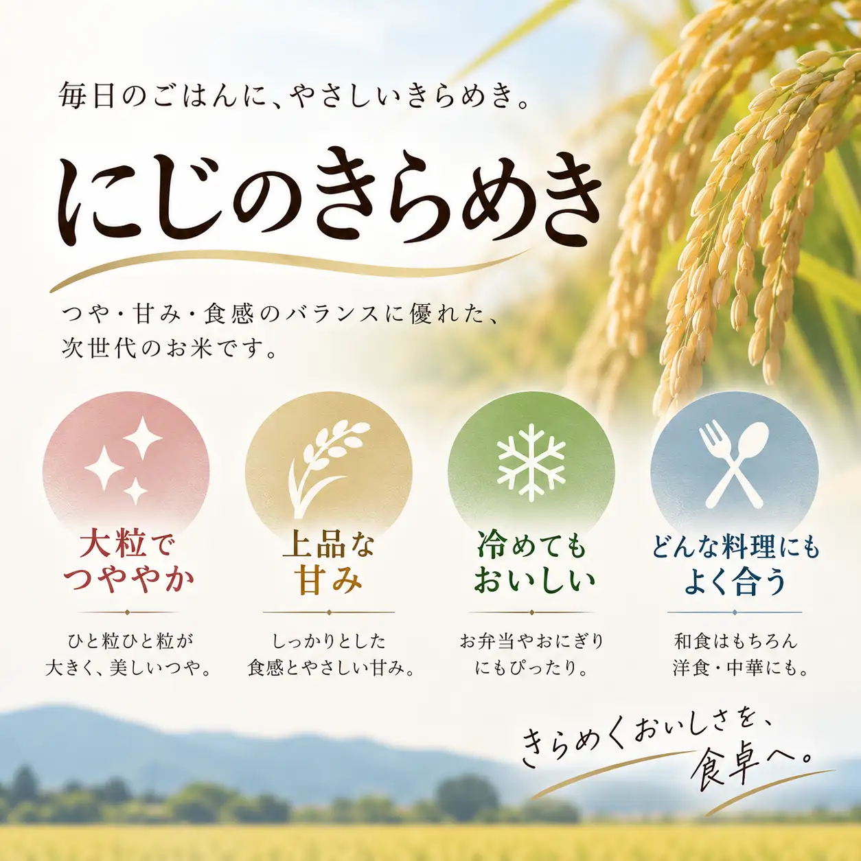 にじのきらめき 白米 6回定期便 令和8年産 にじのきらめき