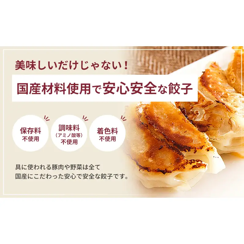 【定期便6回】浜松餃子 80個 (20個×4袋) セット 詰め合わせ 餃子のたれ 小袋 知久屋 国産 ぎょうざ 餃子 ギョーザ 冷凍餃子 冷凍ギョーザ 工場直送 ヘルシー あっさり 惣菜 中華 点心 静岡 浜松市 【配送不可：離島】