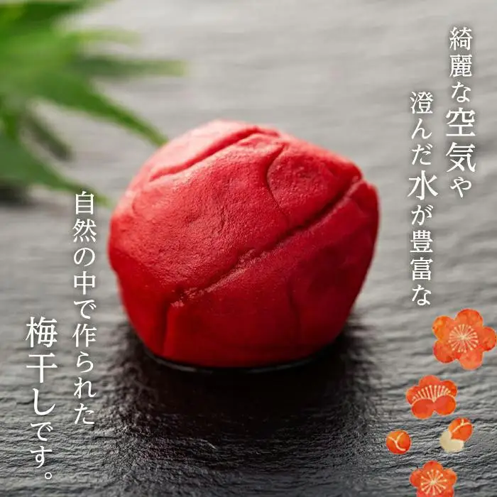 完熟南高梅使用 くずれ梅 しそ熊野梅干 2kg 塩分10％ 訳あり まろやか仕立て