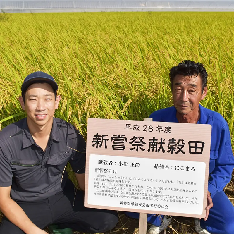 先行受付 令和8年産 にこまる玄米 30kg 10kg×3回 定期便 【にこまる】