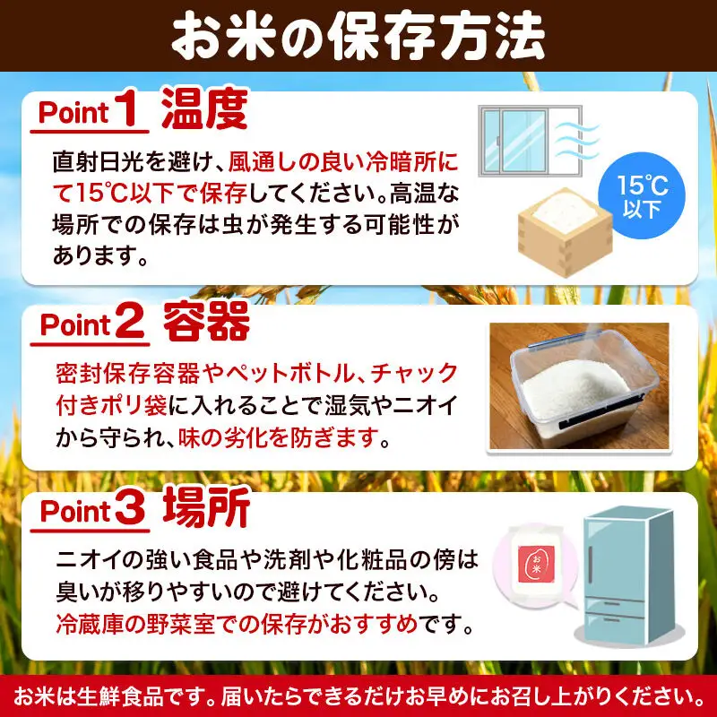 令和8年産【玄米】《定期便12回》真田のコシヒカリ小松姫 プレミアム 2kg×1袋 金井農園