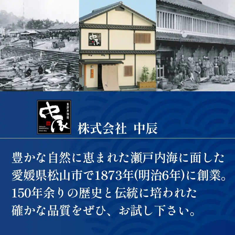 しらす 910g 贈答用 小分け | 米 に合う 釜揚げしらす 【NKT005】