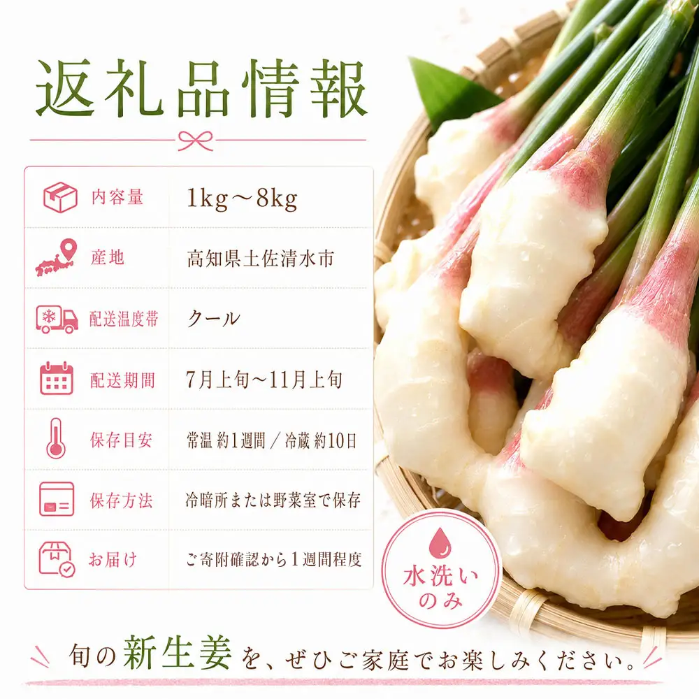 新生姜 3kg 水洗いのみ【R01773】