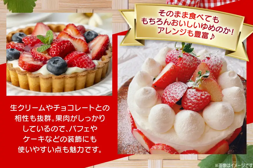 いちご 大粒 先行予約 長崎 ゆめのか 約 1kg