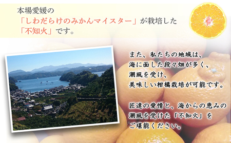 愛媛県明浜産 不知火【完熟】（4.0kg） ATI0023