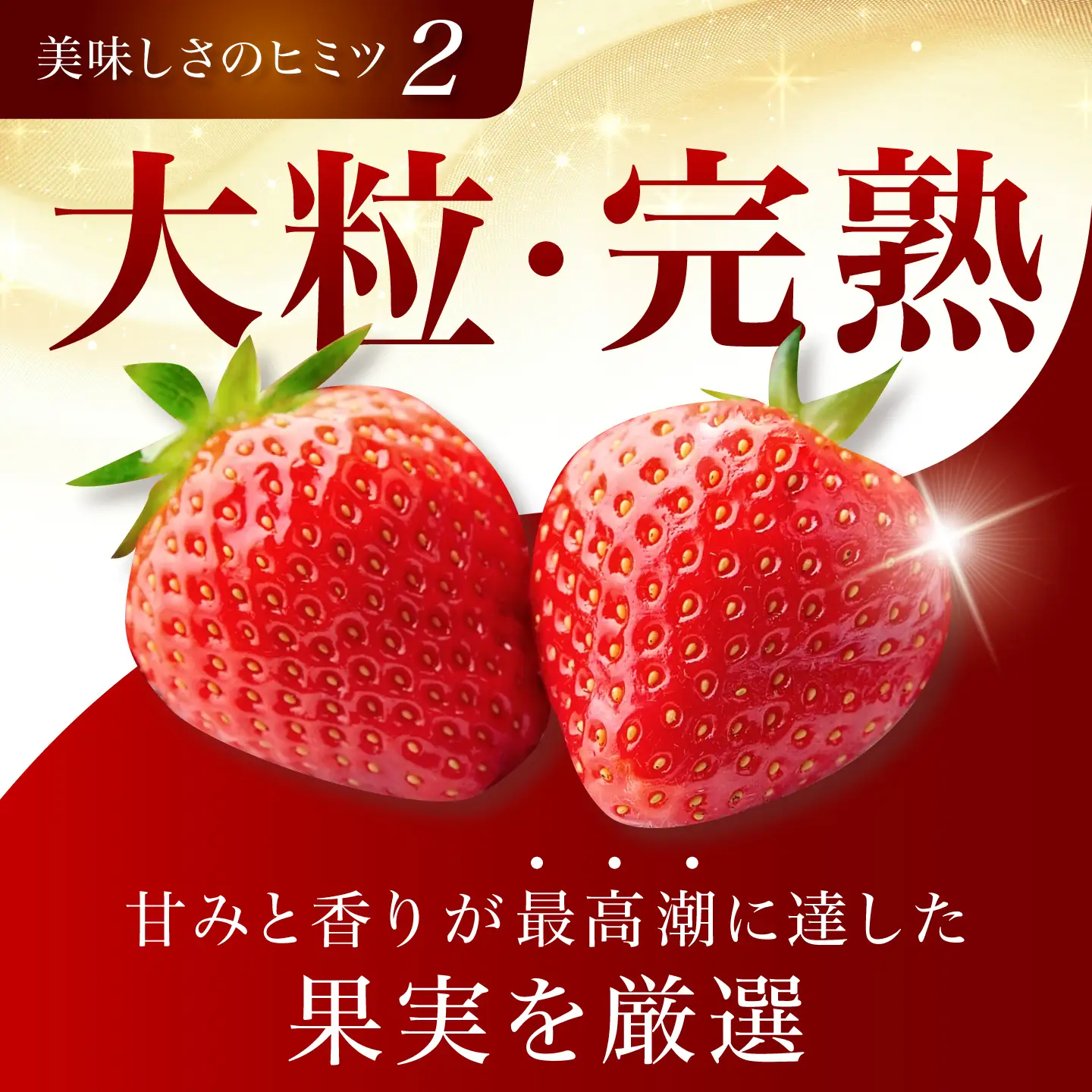 瞬間冷凍いちご [TCI005] いちご