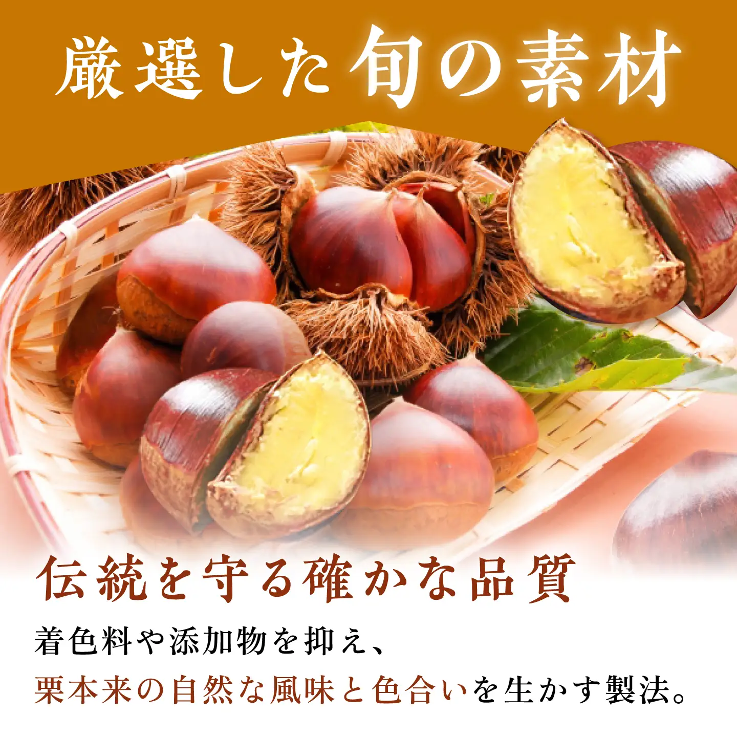 多治見の和菓子 栗きんとん・あぜ道セット / 亀屋製菓舗 / 和菓子 栗きんとん 栗 創作和菓子 羽二重餅 栗餡[TDX007]