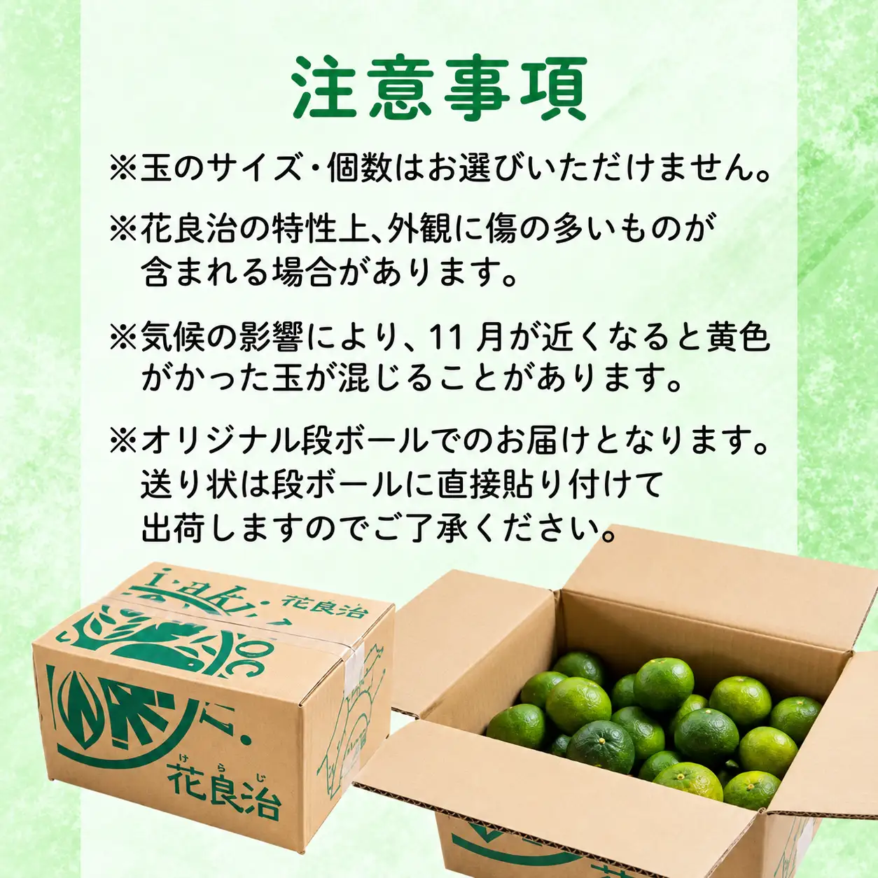 みかん 花良治みかん 青玉 3kg