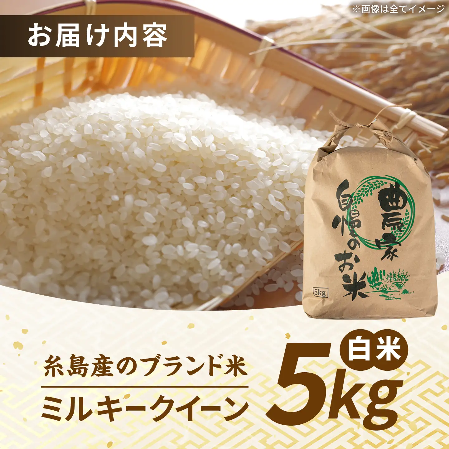 【令和8年産】 ミルキークイーン 白米 5kg 糸島市産 糸島市 / 糸島の恵み コメ こめ ご飯[AGR022]