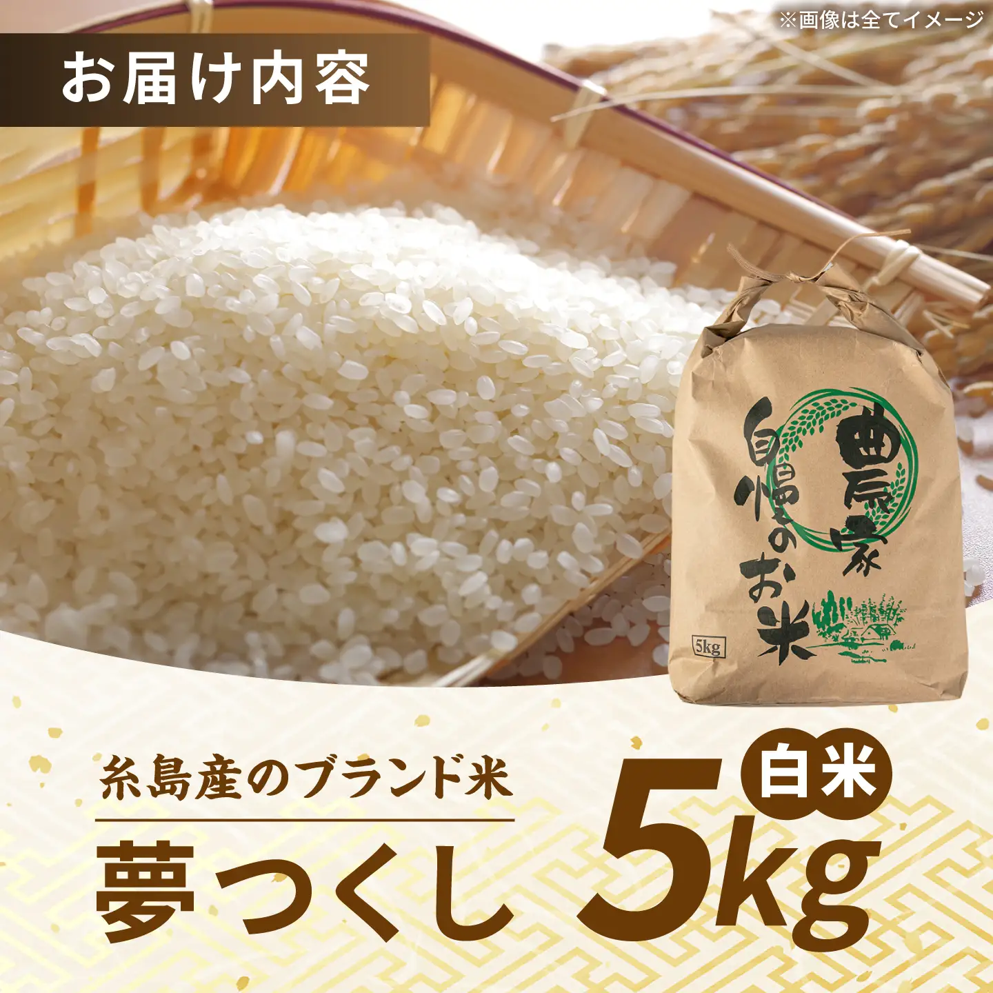【令和8年産】 夢つくし 白米 5kg 糸島市産 糸島市 / 糸島の恵み コメ こめ ご飯[AGR023]