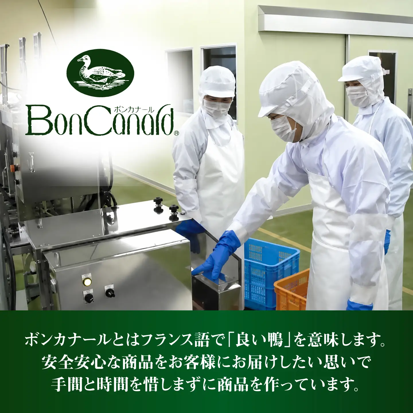 合鴨 3種 ギフト（スモーク ロース ・ スモーク パストラミ ・ たれ煮 ）AODA006 合鴨