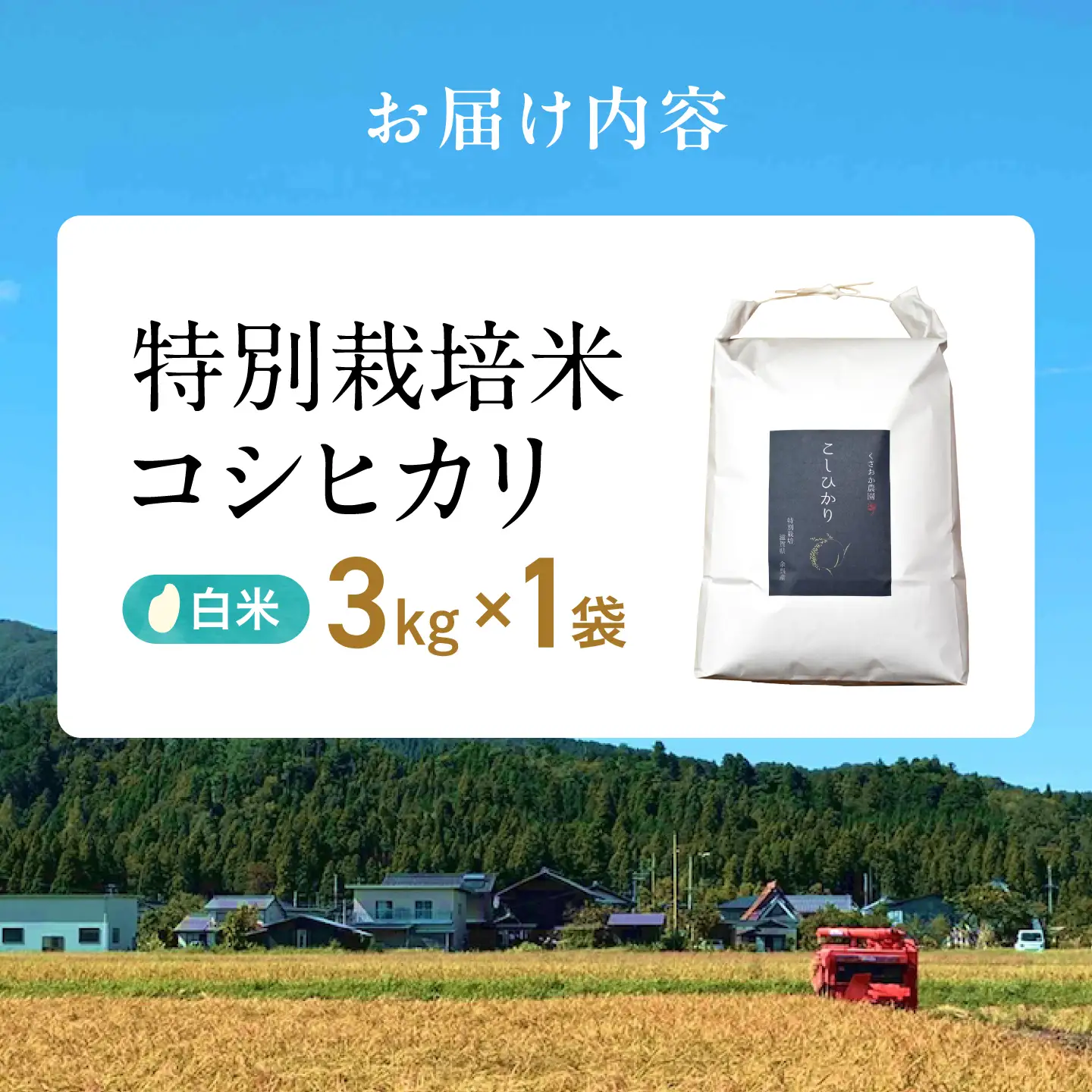 特別栽培米コシヒカリ3kg 白米[AQEB001]