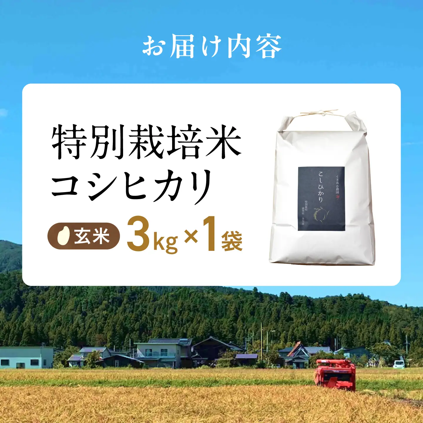玄米 特別栽培米コシヒカリ3kg[AQEB004] 玄米