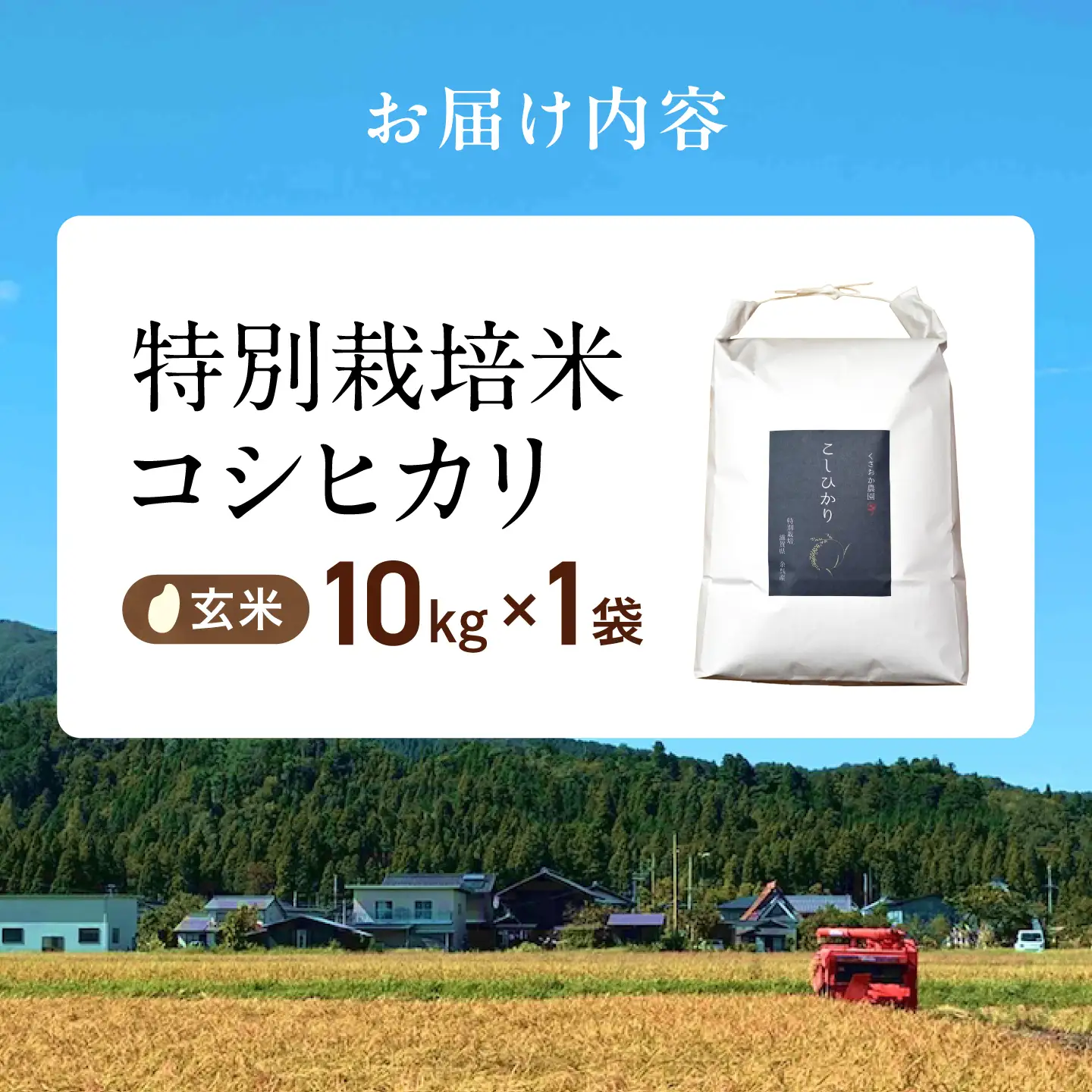玄米 特別栽培米コシヒカリ10kg[AQEB006] 玄米