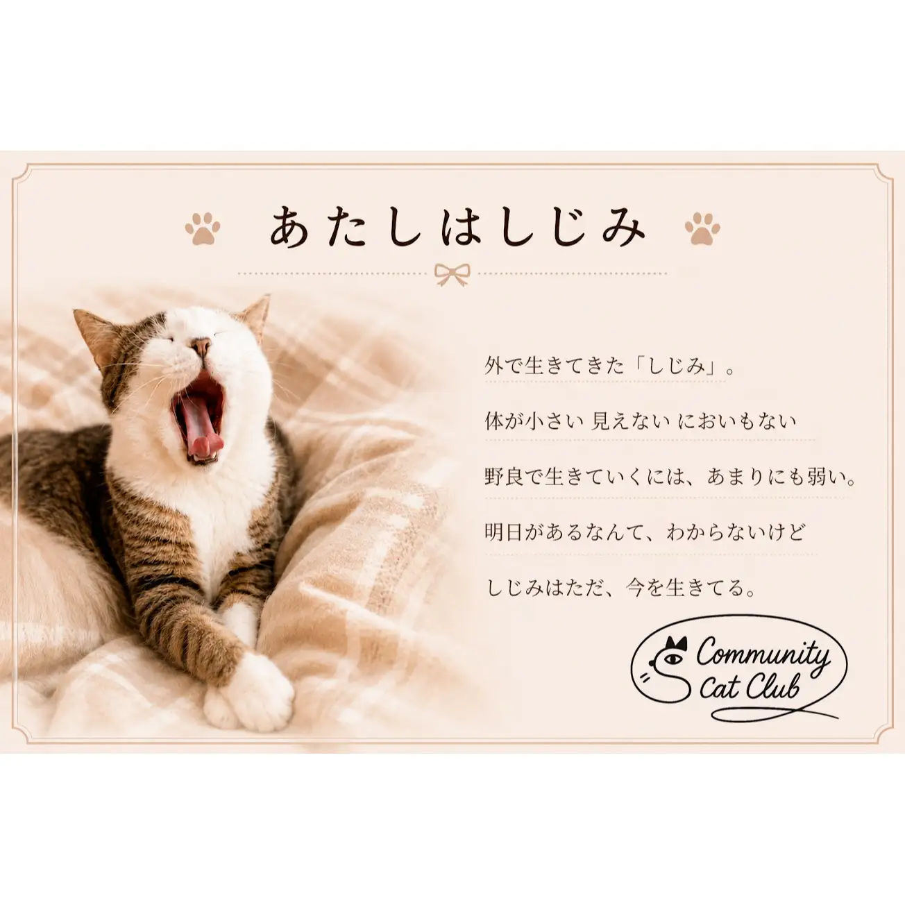 しじみからの小さな贈り物 －しじみのお耳バッグ－(猫耳バッグ1個)