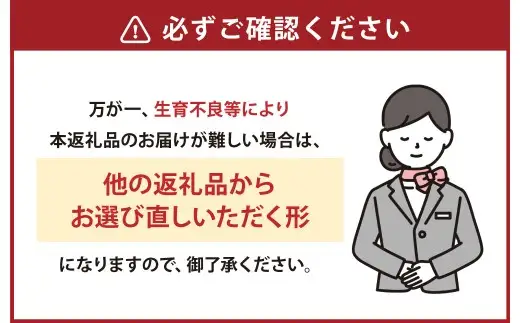 熊本県産 生にんにく 1kg【2026年10月下旬から2027年3月下旬発送予定】 にんにく ニンニク 生ニンニク 野菜 やさい 熊本県 常温
