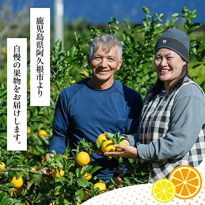 マイヤーレモン果汁 (150ml×2本) 国産 檸檬 果実 果物 フルーツ 柑橘 デザート お菓子作り 常温配送 ドリンク シロップ 果汁 アレンジ レモネード ソーダ割 果汁100％ 【桐野柑橘株式会社】akn070-24