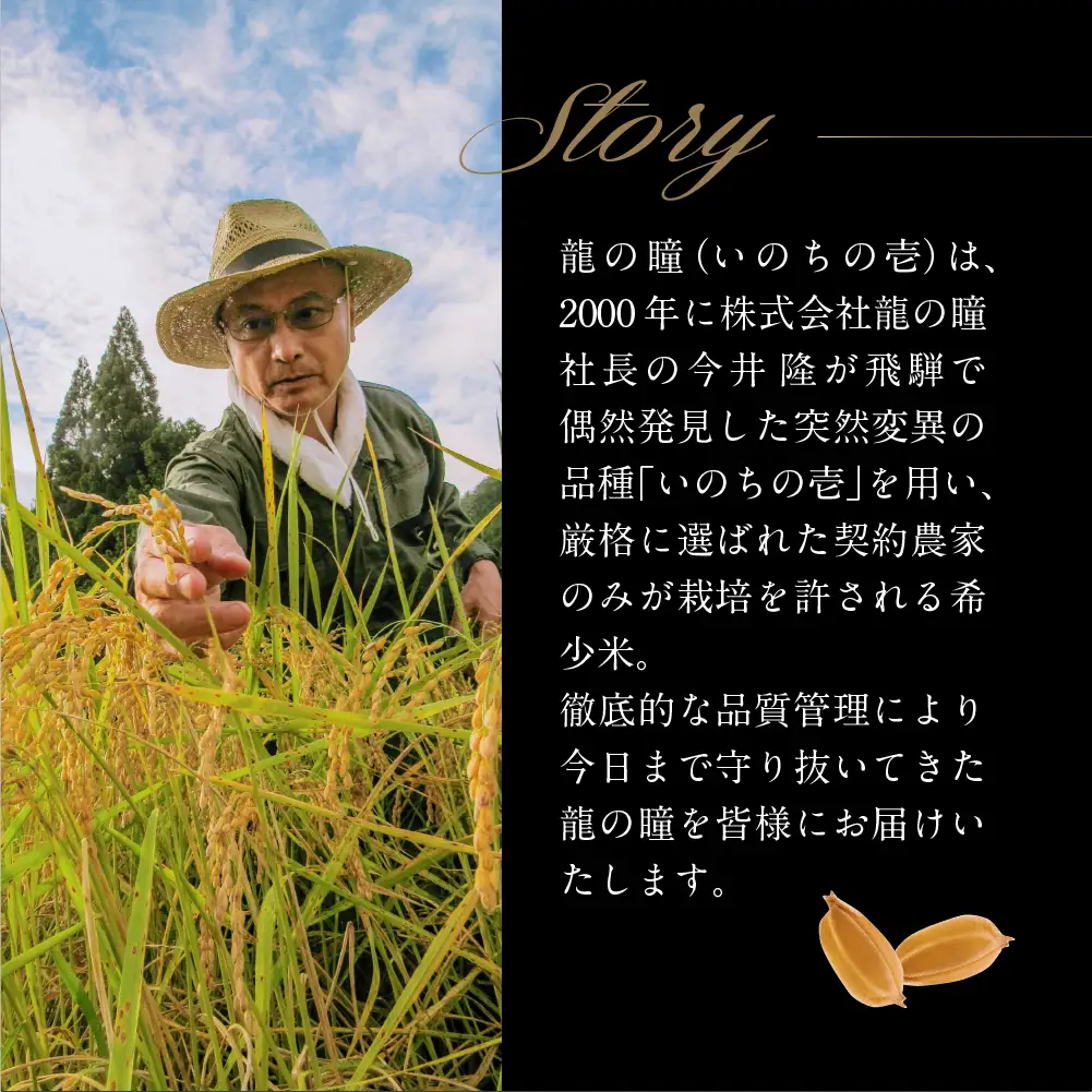 白米 龍の瞳 令和8年産 2kg 飛騨 米