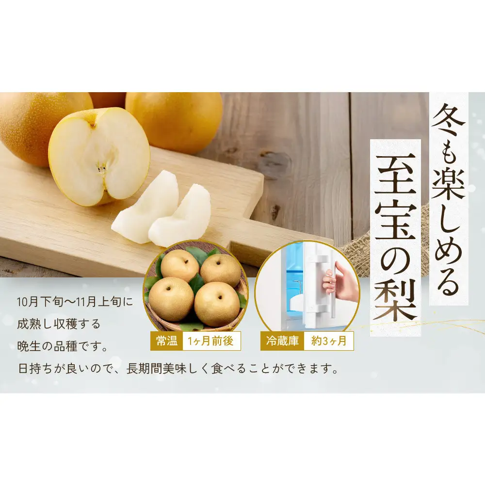 訳あり 数量限定 鳥取県産 王秋梨（おうしゅうなし） 約5kg （7～15玉）≪2026年11月中旬頃出荷≫ 【鳥取県 境港市】