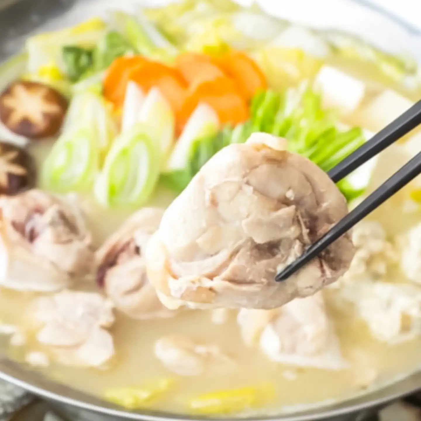 ありた鶏水炊きセット 5-6人前《築上町》【吉浦コーポレーション】 鶏 鶏肉 水炊き 鍋セット 国産鶏[ABFF013]