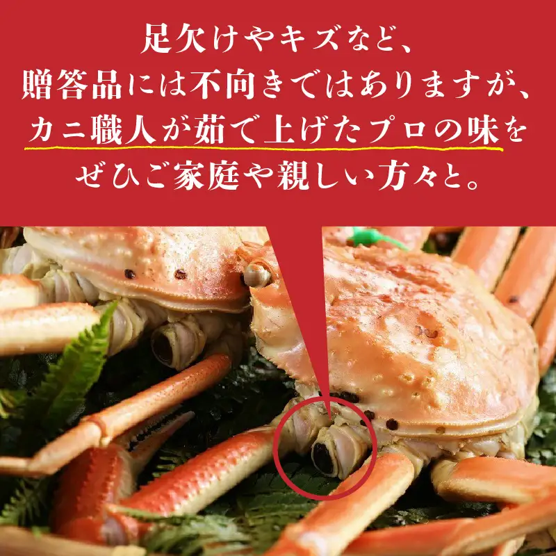 （訳あり）茹で間人がに 2匹 Aセット　11/22～12/21発送予定